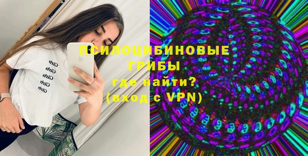 spice Пересвет