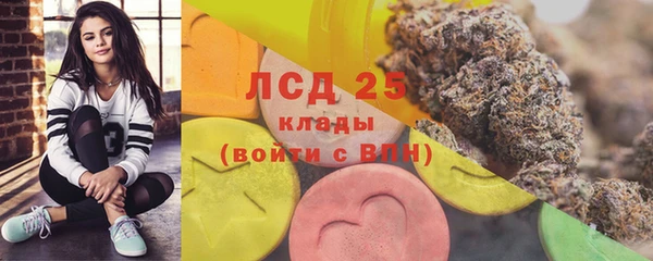 spice Пересвет