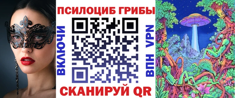 купить  цена  Тырныауз  Галлюциногенные грибы MAGIC MUSHROOMS 