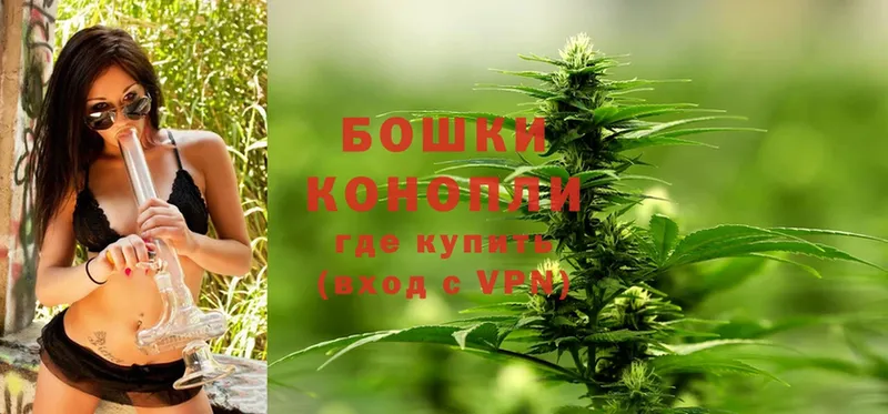 купить   Тырныауз  Бошки марихуана White Widow 